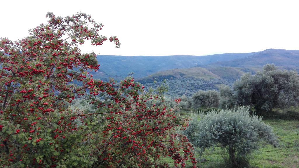 Le Case Di S. Andrea Buccheri Экстерьер фото